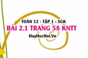 Bài 2.1 trang 58 Toán 12 tập 1 Kết nối tri thức